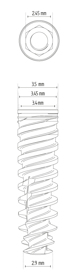 implantat_touareg_s