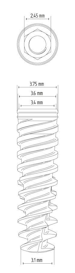 implantat_touareg_s