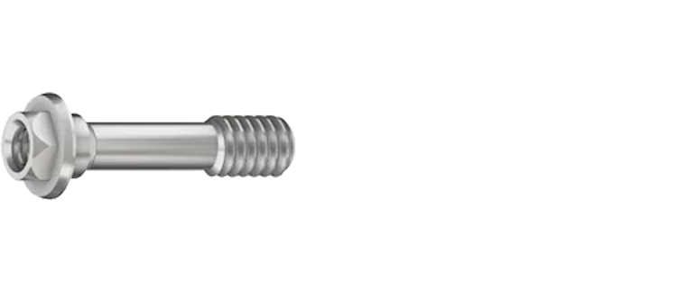 Фиксирующий винт для прямого  TMA 2 mm RS 3407