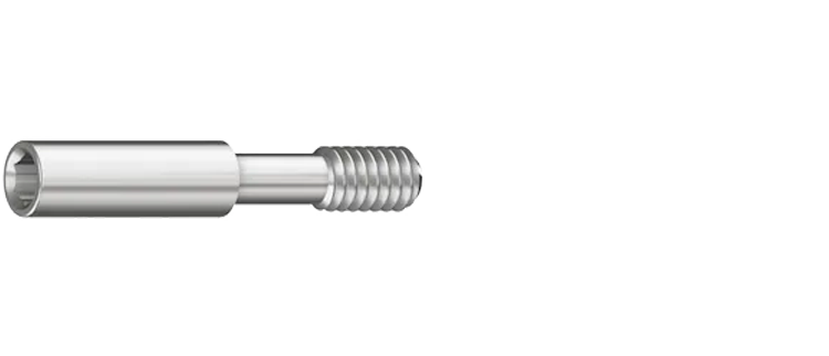Винт для сканируемого абатмента RS-3425